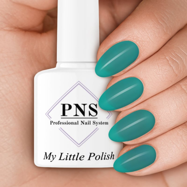 PNS MLP Pinata