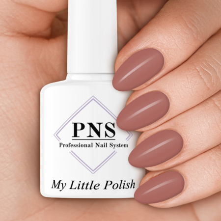 PNS MLP Wilson
