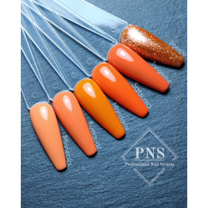 PNS MLP Florida collectie