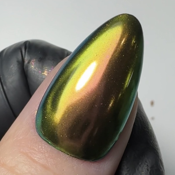 magpie chrome dust beetle