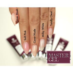 victoria vynn master gel shades