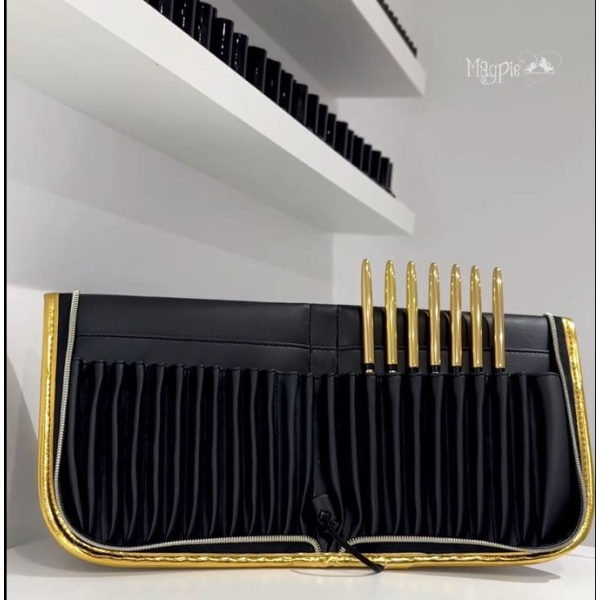 magpie artybrush case