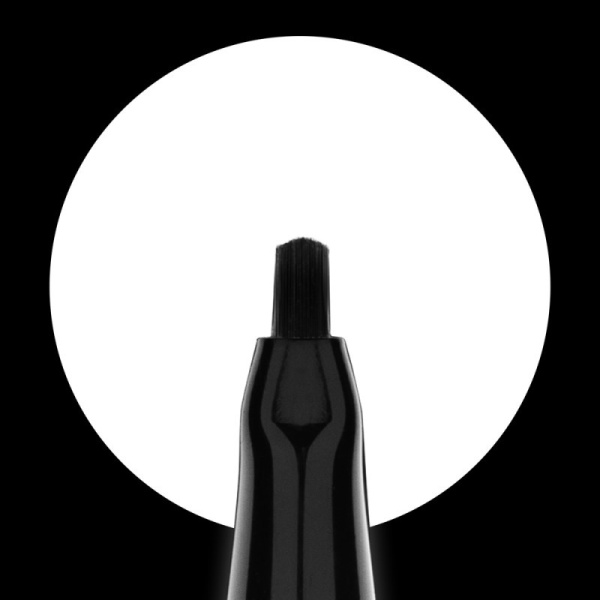 magpie artybrush illustrate 1