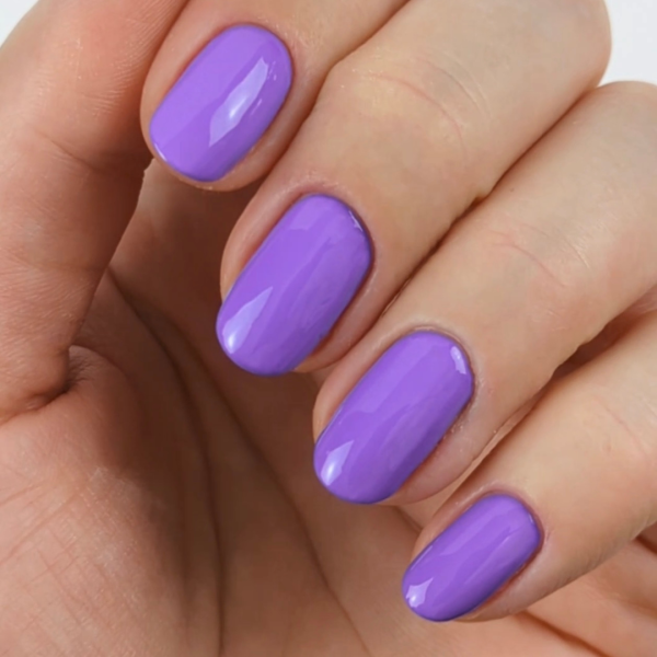 magpie paradise purple