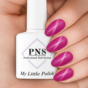 pns mlp persian