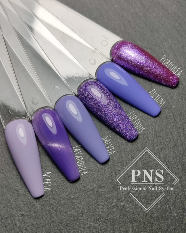 pns mlp periwinkle collectie