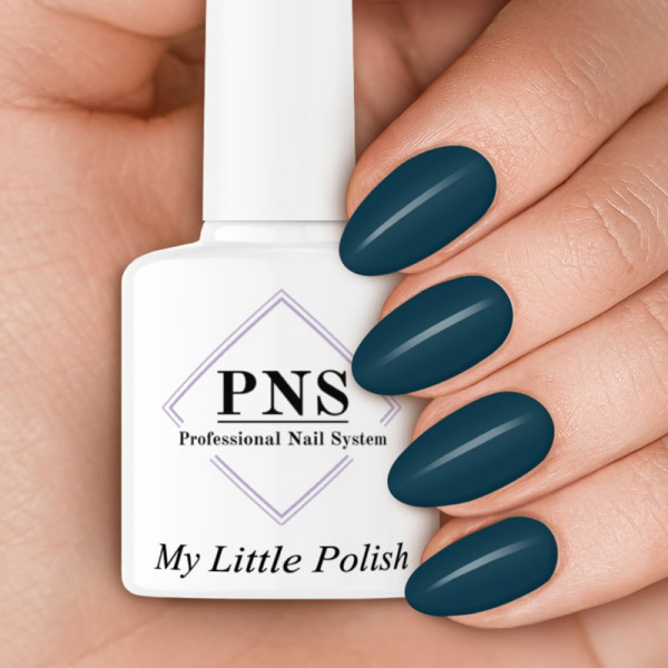 pns mlp bonjour