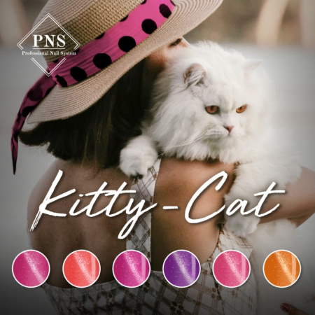 pns mlp kitty cat collectie