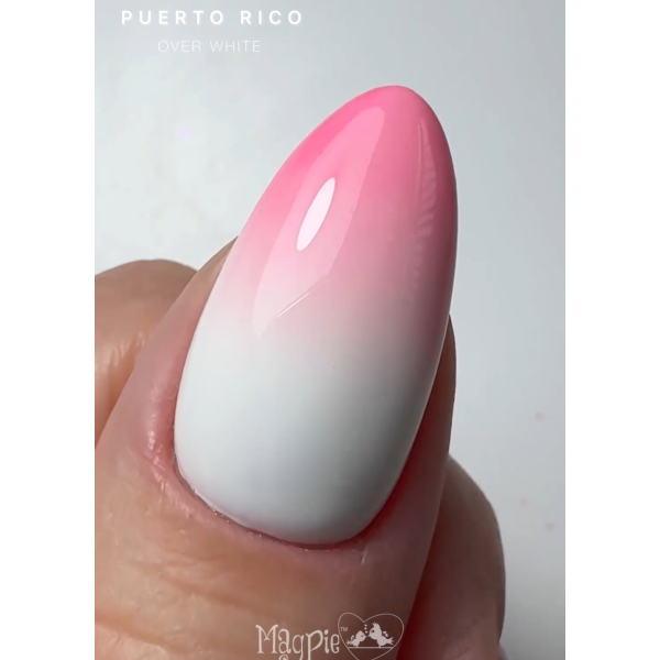 magpie compact pigment puerto rico