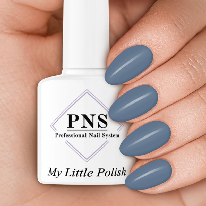 pns mlp 5.1 aime