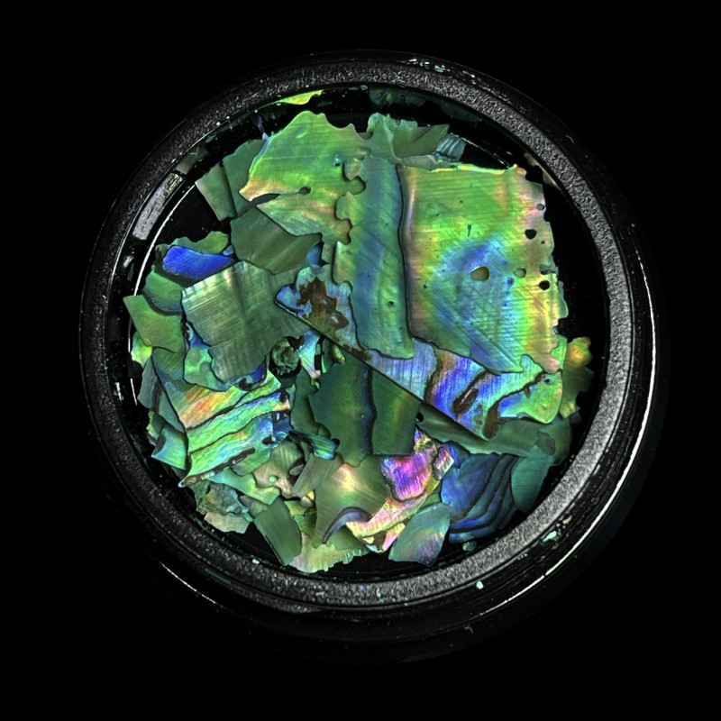magpie shell green prachtnagels