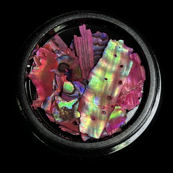 magpie shells pink prachtnagels