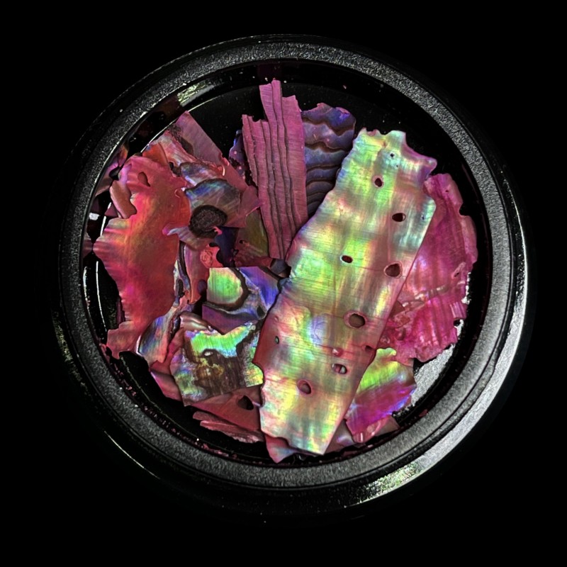 magpie shells pink prachtnagels