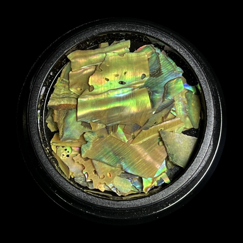 magpie shell yellow prachtnagels