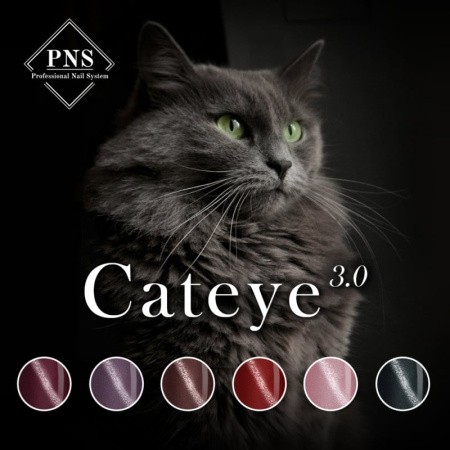 pns cat eye 3.0 collectie flyer prachtnagels gellak