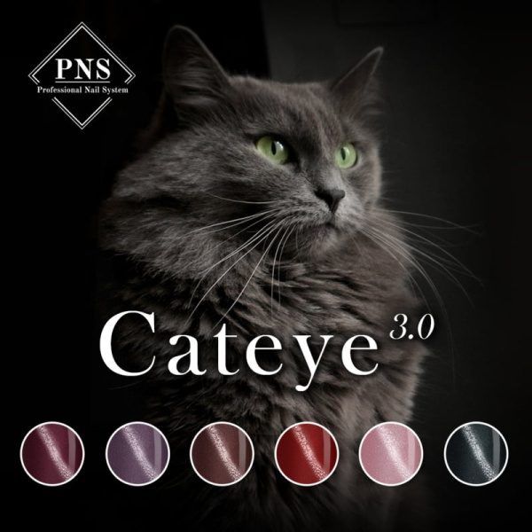 pns cat eye 3.0 collectie flyer prachtnagels gellak