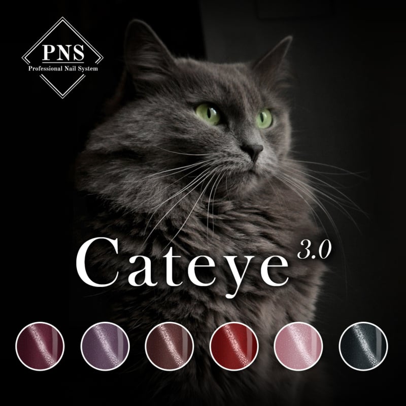 pns cat eye 3.0 collectie flyer prachtnagels gellak