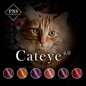 pns cat eye 4.0 mlp collectie prachtnagels