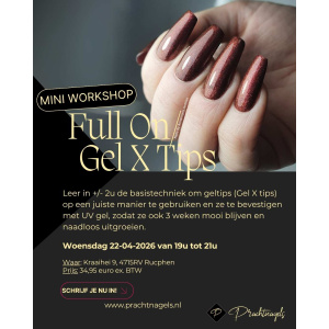 mini workshop full on tips 22-4 prachtnagels