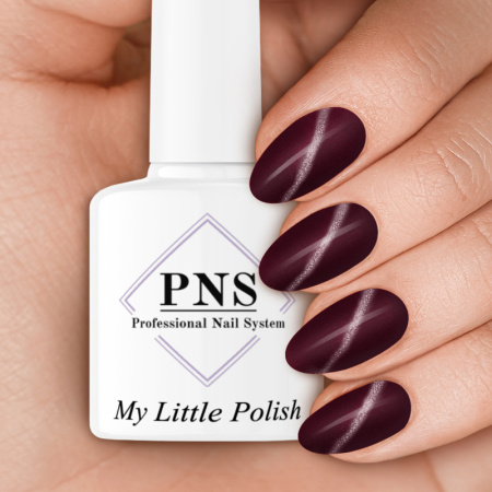 pns mlp maatricht cat eye gel polish prachtnagels