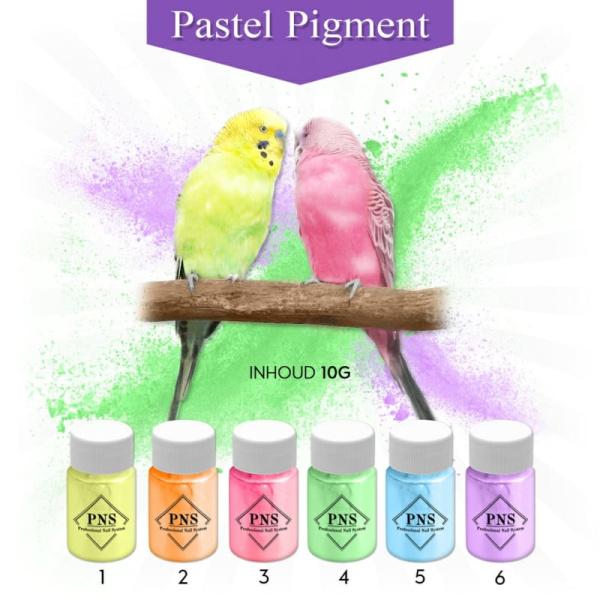 pns pure pastel pigment set