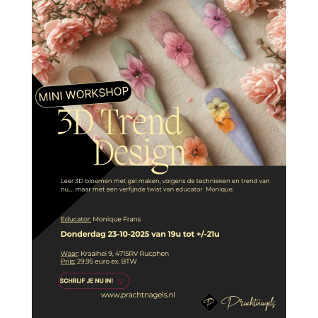 3d trend design monique frans mini workshop prachtnagels