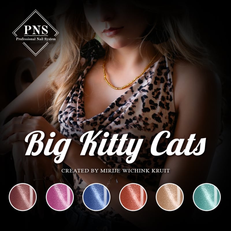 pns big kitty cat collection flyer prachtnagels