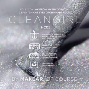 makear hc01 cat eye gel polish prachtnagels