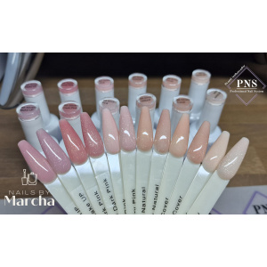 pns bb goldy silvery collection swatch prachtnagels