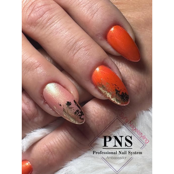 PNS AMBER BLISS GLOSSY DREAMS SET