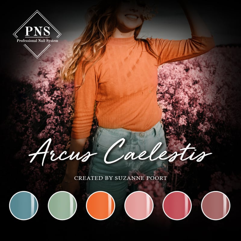 pns mlp Caelestis Collection flyer prachtngels