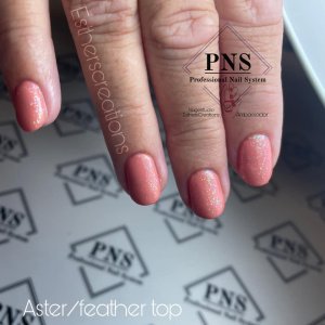 pns feather top hand prachtnagels