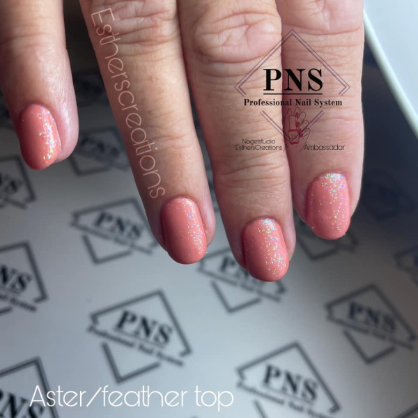 pns feather top hand prachtnagels