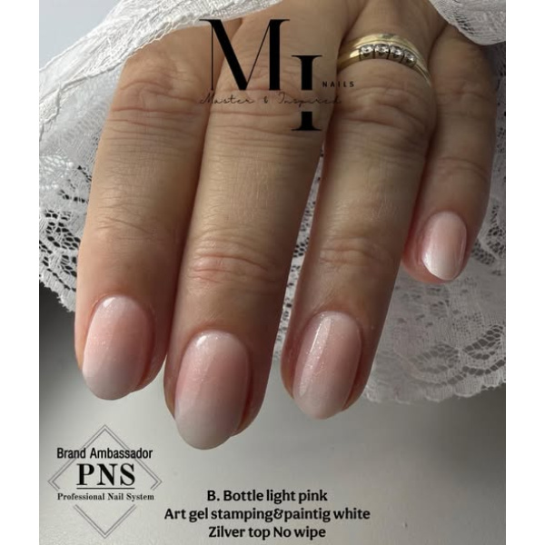 pns no wipe top silver prachtnagels set 2