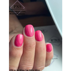 pns no wipe top silver prachtnagels set