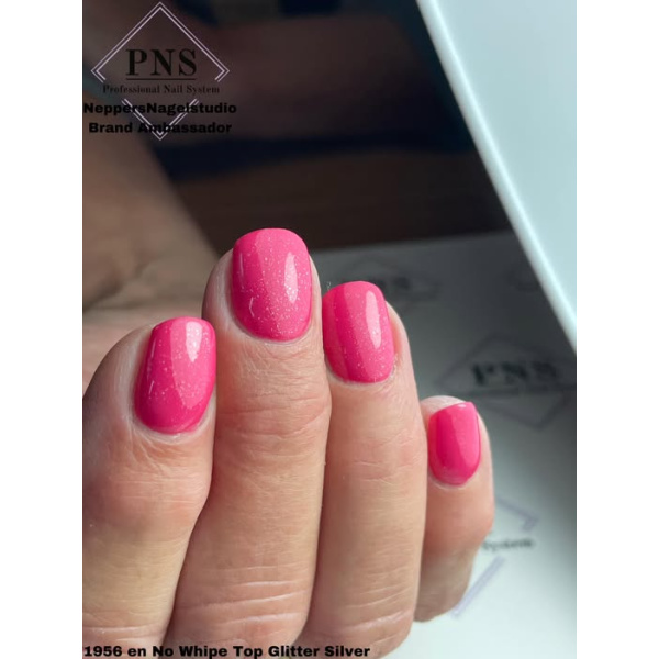 pns no wipe top silver prachtnagels set