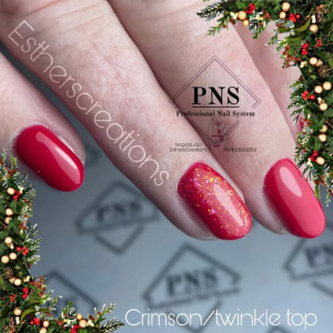 pns twinkle tOp hand prachtnagels 2