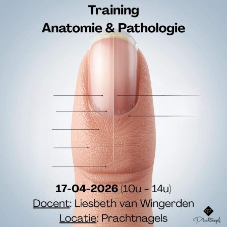Training Anatomie & Pathologie liesbeth van wingeren 17-04-2026