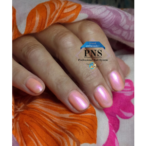 pns 1032 set