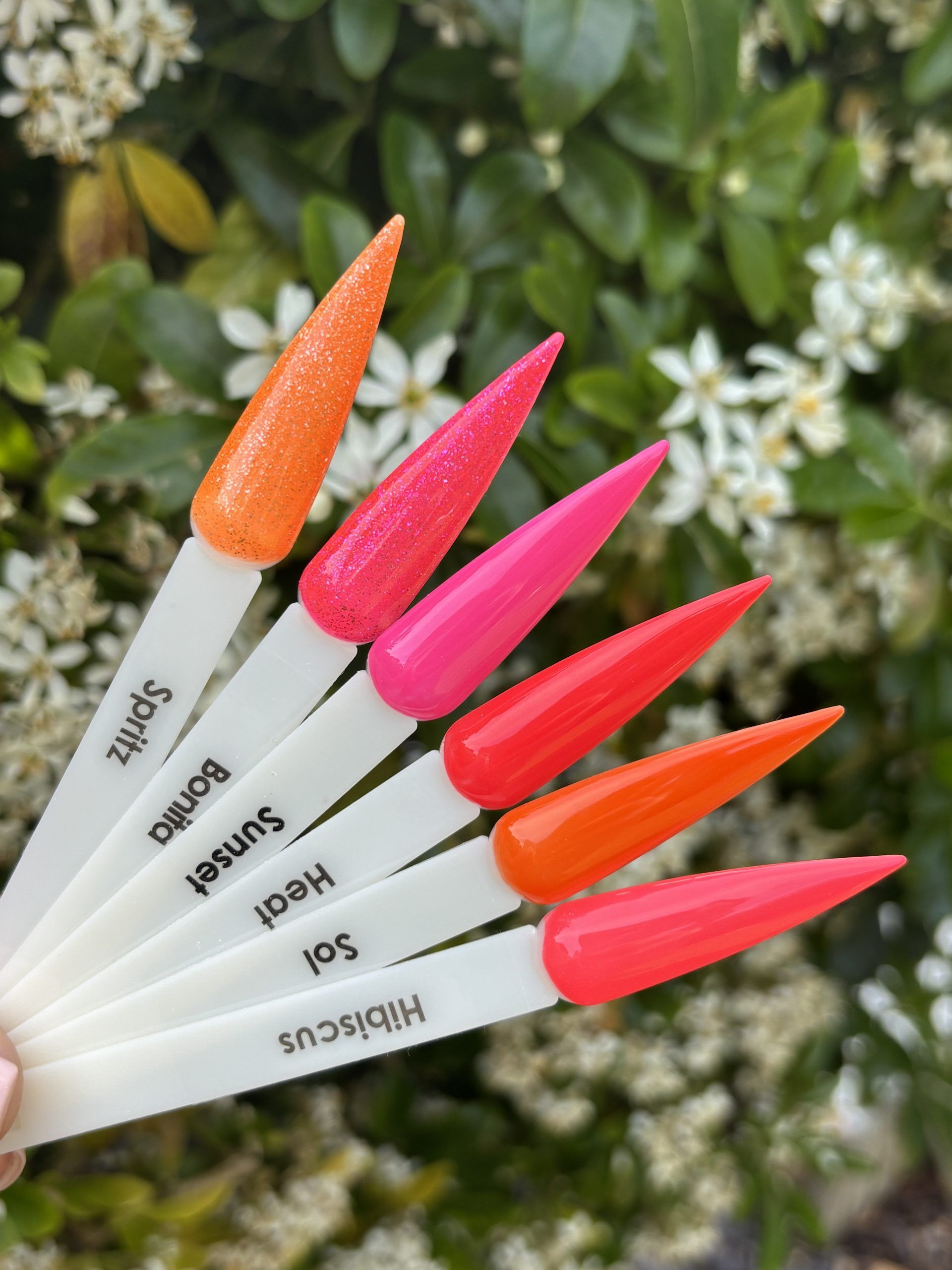 halo gel polish summer night swatch prachtnagels