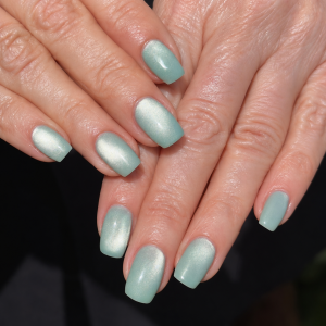 magpie pussy willow cat eye gel polish prachtnagels set
