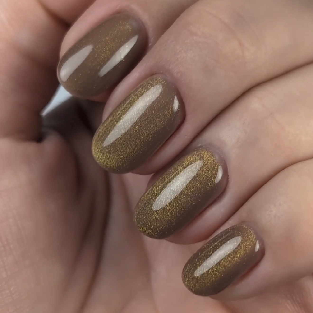 magpie gel polish cat eye wil cat prachtnagels set